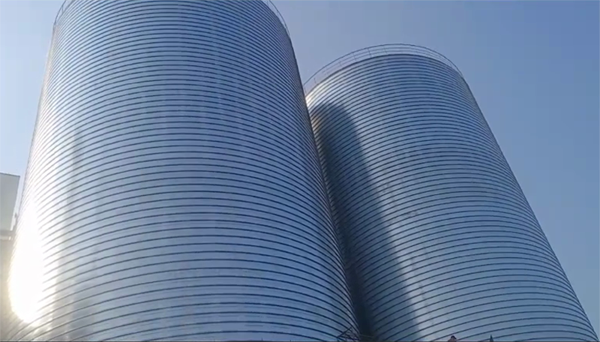 阳日镇2座混凝土高架卷板仓